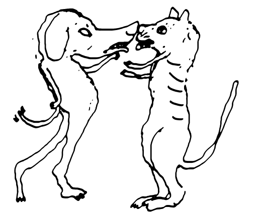 cat dog dance